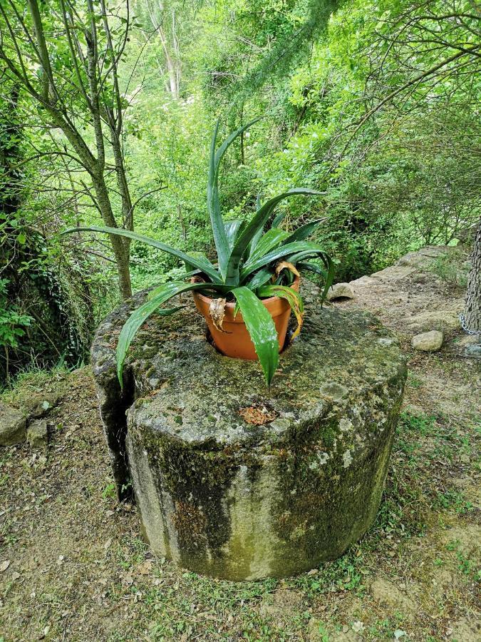 Casa Rural Ardetxal A 16Km De Logrono Y Laguardia Vinaspre Bagian luar foto